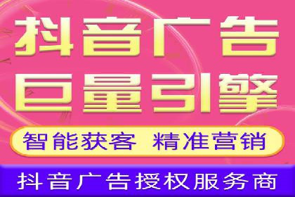 SEM代理案例：揭秘成功背后的秘密